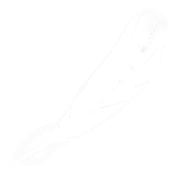 Quill Pen Made of Bird Feather Texture (Sphere)