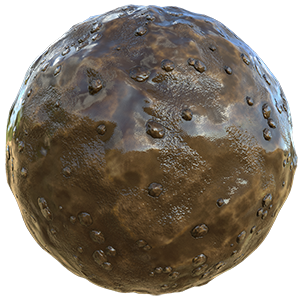 Swampy and Muddy Ground Texture with Rocks and Pebbles