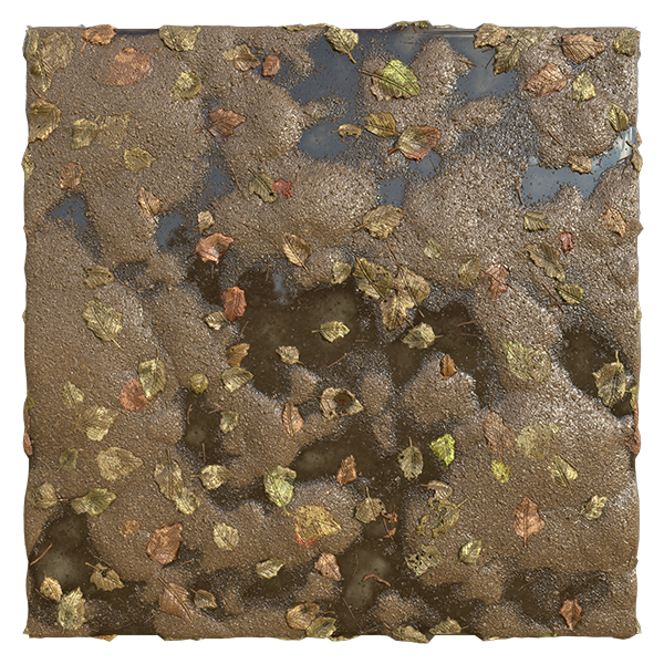 Muddy Swamp with Fallen Leaves (Plane)