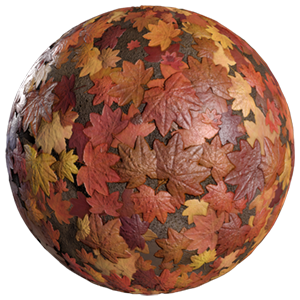 Ground Covered by Maple Leaves