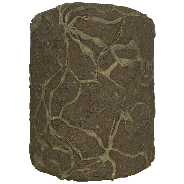 Tree Roots on Muddy Ground (Cylinder)