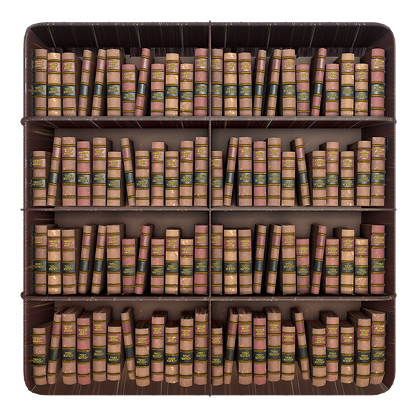 Wooden Bookshelf with Books (Plane)