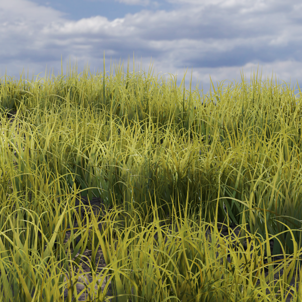 Grass Texture Generator